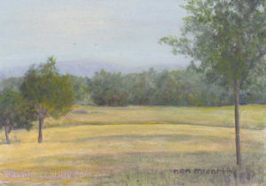 Misty Day
